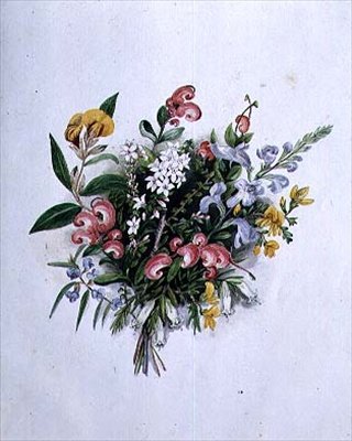 Posy of Summer Flowers by Caroline Louisa Meredith